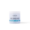 Изображение V-COLOR, Оттеночная крем-маска Mad Head Mask Лагуна, 500 мл в интернет-магазине Цирюльник