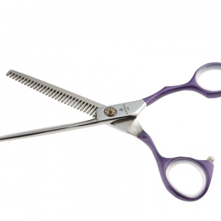 Изображение Dewal, Парикмахерские ножницы филировочные 5.5" COLOUR STEP ML55AS-PR, (28 зубцов) в интернет-магазине Цирюльник