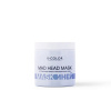 Изображение V-COLOR, Оттеночная крем-маска Mad Head Mask Иней, 500 мл в интернет-магазине Цирюльник
